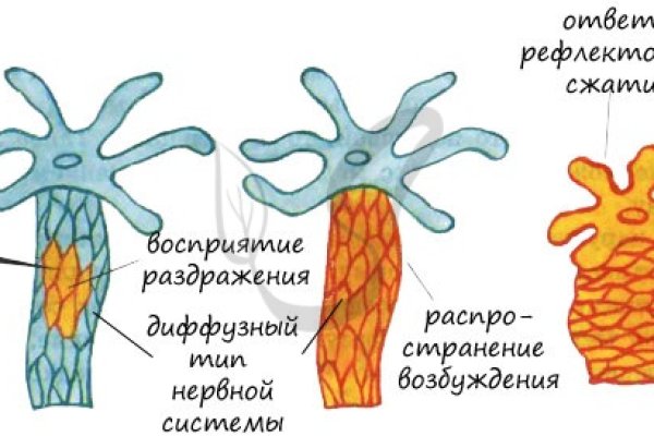 Где купить наркоты