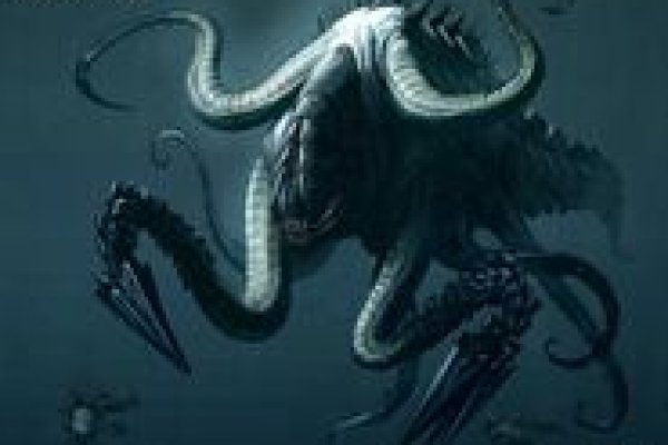 Kraken online