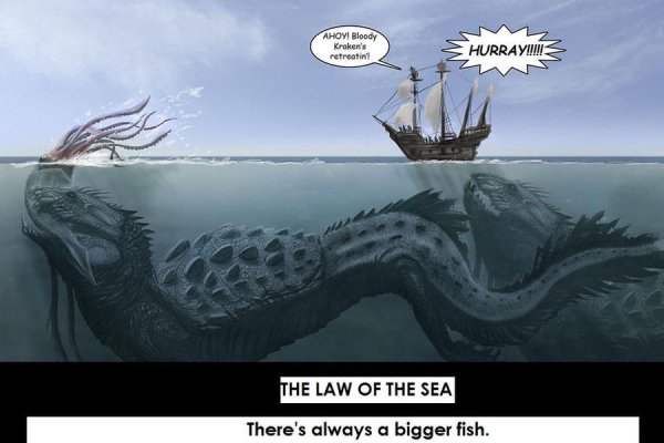 Kraken official