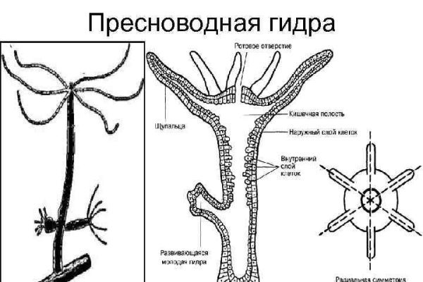 Кракен сайт